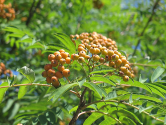 Similar image 20991862