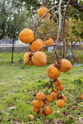 Similar image 20994940