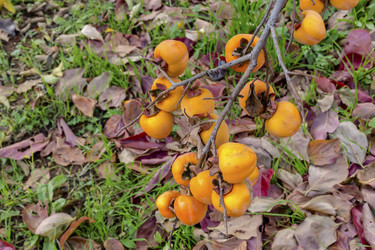 Similar image 20992200