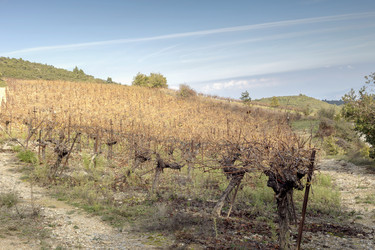 Similar image 21018381