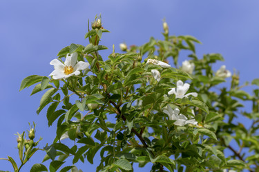 Similar image 20992204