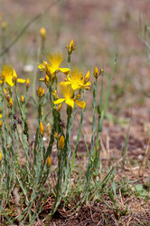 Similar image 20992205