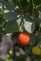 Similar image 20992207