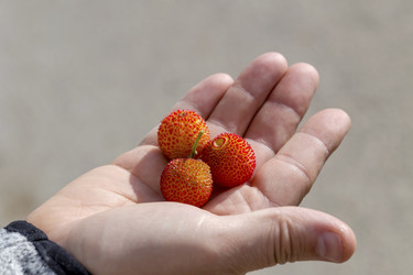 Similar image 20993242