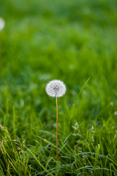 Similar image 20991904