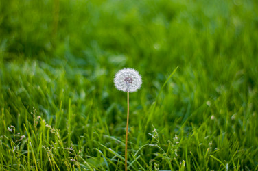 Similar image 20991905