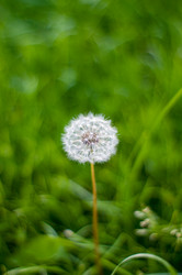 Similar image 20991906