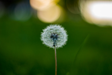 Similar image 20991907