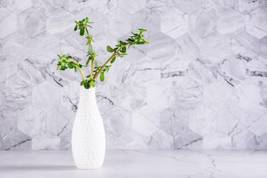 Similar image 20992894