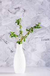 Similar image 20992895