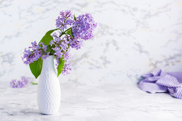 Similar image 20992996