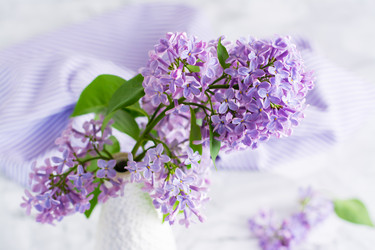 Similar image 20992997