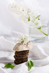 Similar image 20993034