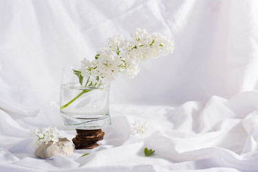 Similar image 20993035