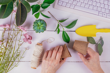 Similar image 20993645