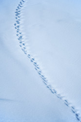 Similar image 21020408