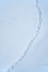 Similar image 21020409