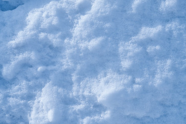 Similar image 21020412