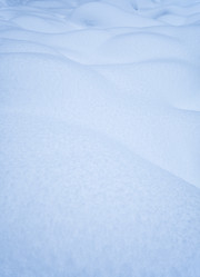 Similar image 21020414