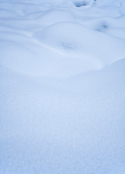 Similar image 21020415