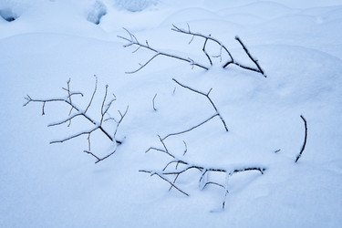 Similar image 21020417