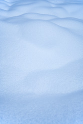 Similar image 21020419