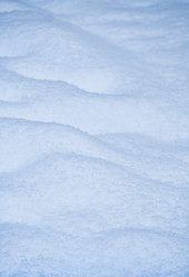 Similar image 21020422