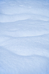 Similar image 21020423