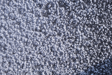 Similar image 21020442