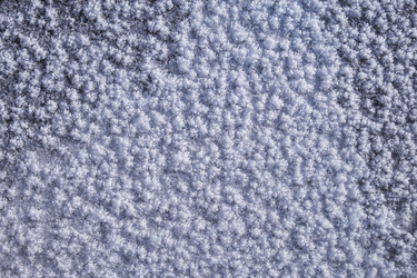 Similar image 21020443