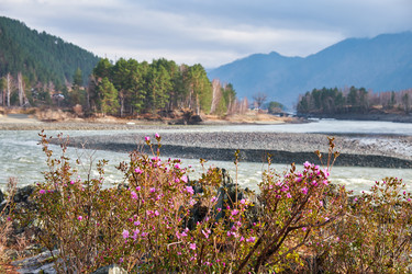 Similar image 21020444