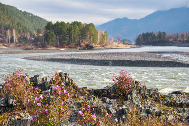 Similar image 21020445