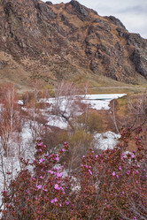 Similar image 21020449