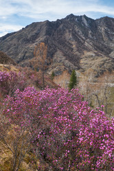 Similar image 21020451