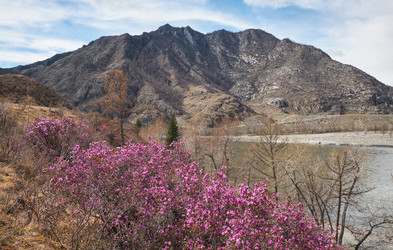 Similar image 21020452