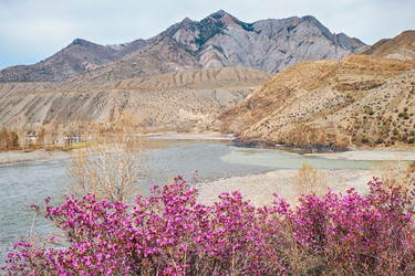 Similar image 21020453