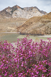 Similar image 21020456