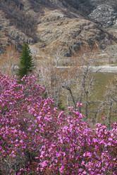 Similar image 21020457