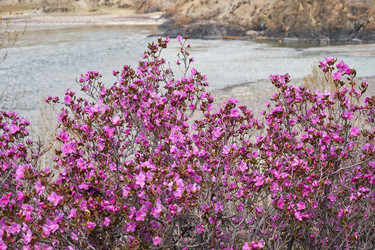 Similar image 21020458