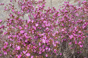 Similar image 21020459