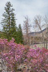 Similar image 21020460