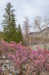 Similar image 21020461