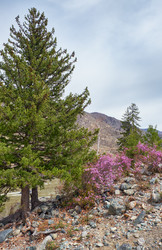 Similar image 21020462