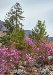 Similar image 21020463