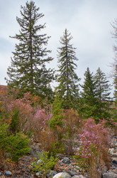 Similar image 21020464