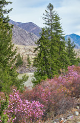 Similar image 21020468