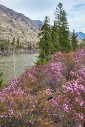 Similar image 21020469