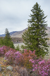 Similar image 21020470