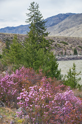 Similar image 21020471