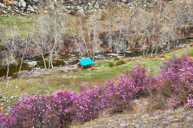 Similar image 21020472